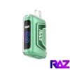 Miami Mint - Raz TN 9000 Puffs Disposable Vape