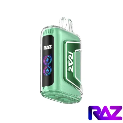 Miami Mint - Raz TN 9000 Puffs Disposable Vape