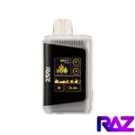 Miami Mint - Raz DC25000 Puffs Best Disposable Vape