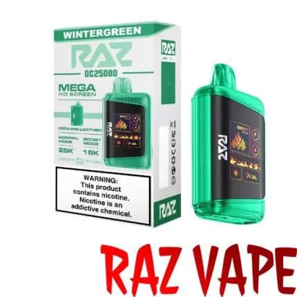 Wintergreen - Raz DC25000 Puffs Disposable Vape