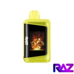 Sour Apple Watermelon - Raz DC25000 Puffs Disposable Vape