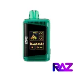 Wintergreen - Raz DC25000 Puffs Disposable Vape
