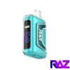 Polar Ice - Raz TN 9000 Puffs Disposable Vape