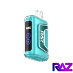 Polar Ice - Raz TN 9000 Puffs Disposable Vape