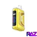 Sour Mango Pineapple - Raz TN 9000 Puffs Disposable Vape