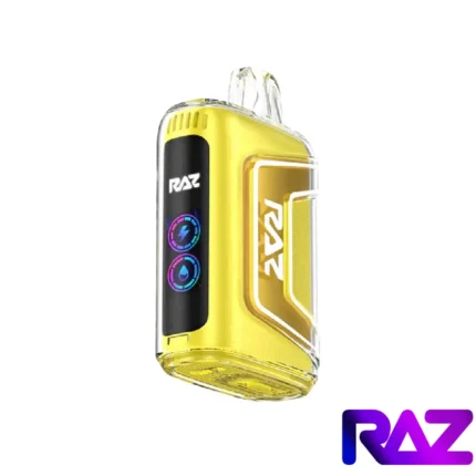 Sour Mango Pineapple - Raz TN 9000 Puffs Disposable Vape
